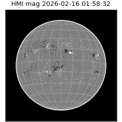 shmi - 2026-02-16T01:58:32