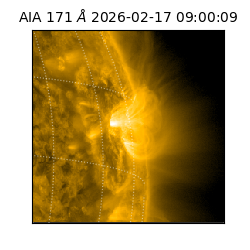 saia - 2026-02-17T09:00:09.350000