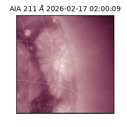 saia - 2026-02-17T02:00:09.625000