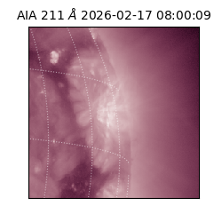 saia - 2026-02-17T08:00:09.625000