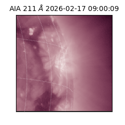 saia - 2026-02-17T09:00:09.627000