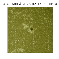 saia - 2026-02-17T09:00:14.130000