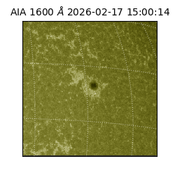 saia - 2026-02-17T15:00:14.125000