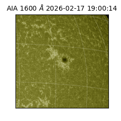 saia - 2026-02-17T19:00:14.121000