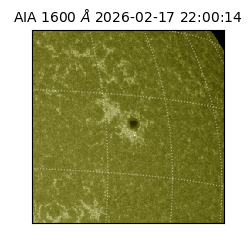 saia - 2026-02-17T22:00:14.117000