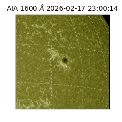 saia - 2026-02-17T23:00:14.125000