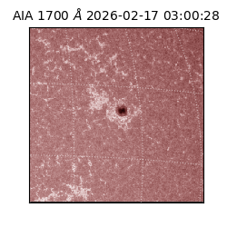 saia - 2026-02-17T03:00:28.729000