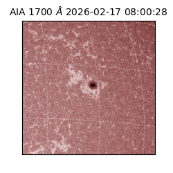 saia - 2026-02-17T08:00:28.717000