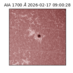 saia - 2026-02-17T09:00:28.717000