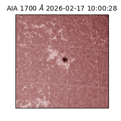 saia - 2026-02-17T10:00:28.742000