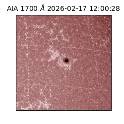 saia - 2026-02-17T12:00:28.717000