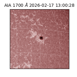 saia - 2026-02-17T13:00:28.721000