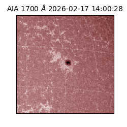 saia - 2026-02-17T14:00:28.737000