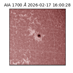 saia - 2026-02-17T16:00:28.721000