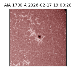 saia - 2026-02-17T19:00:28.721000