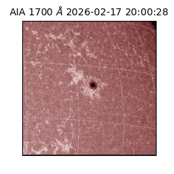 saia - 2026-02-17T20:00:28.718000