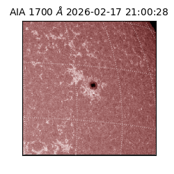 saia - 2026-02-17T21:00:28.717000