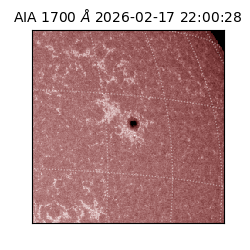 saia - 2026-02-17T22:00:28.709000