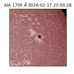 saia - 2026-02-17T23:00:28.717000