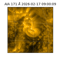 saia - 2026-02-17T09:00:09.350000