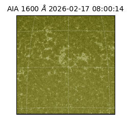 saia - 2026-02-17T08:00:14.126000