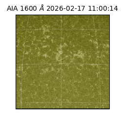 saia - 2026-02-17T11:00:14.125000