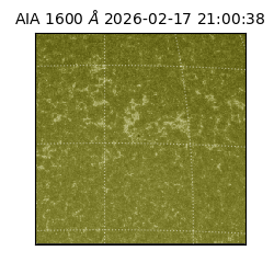 saia - 2026-02-17T21:00:38.129000