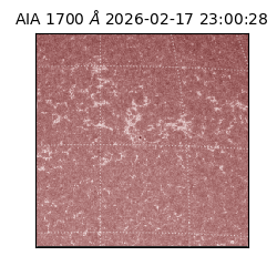 saia - 2026-02-17T23:00:28.717000