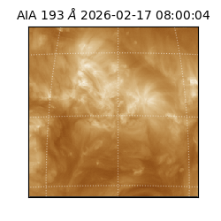 saia - 2026-02-17T08:00:04.843000