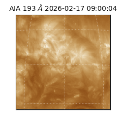 saia - 2026-02-17T09:00:04.843000