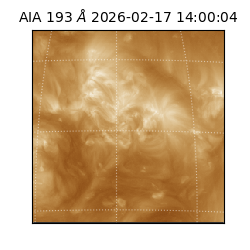 saia - 2026-02-17T14:00:04.843000