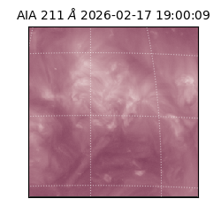 saia - 2026-02-17T19:00:09.619000