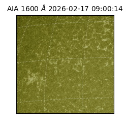 saia - 2026-02-17T09:00:14.130000