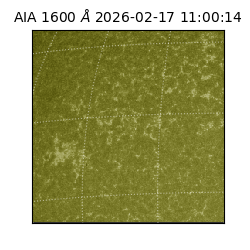 saia - 2026-02-17T11:00:14.125000