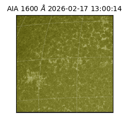 saia - 2026-02-17T13:00:14.129000