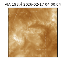 saia - 2026-02-17T04:00:04.843000