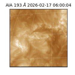 saia - 2026-02-17T06:00:04.846000