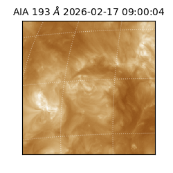 saia - 2026-02-17T09:00:04.843000