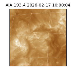 saia - 2026-02-17T10:00:04.843000