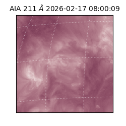 saia - 2026-02-17T08:00:09.625000