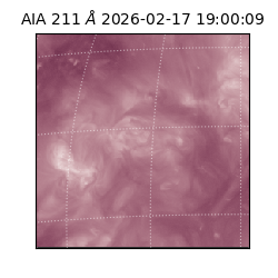 saia - 2026-02-17T19:00:09.619000