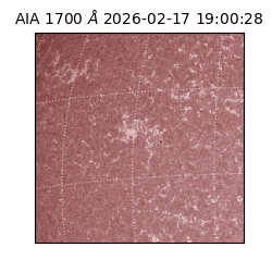 saia - 2026-02-17T19:00:28.721000