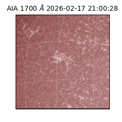 saia - 2026-02-17T21:00:28.717000