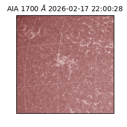 saia - 2026-02-17T22:00:28.709000