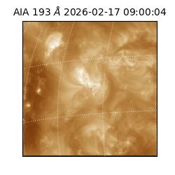 saia - 2026-02-17T09:00:04.843000