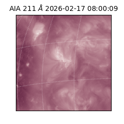 saia - 2026-02-17T08:00:09.625000