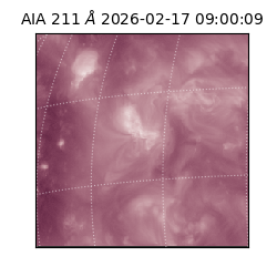 saia - 2026-02-17T09:00:09.627000