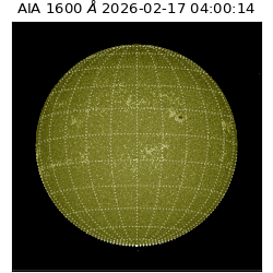 saia - 2026-02-17T04:00:14.125000