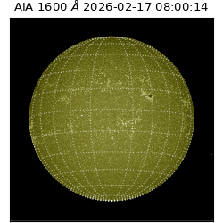 saia - 2026-02-17T08:00:14.126000