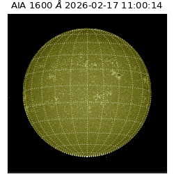 saia - 2026-02-17T11:00:14.125000